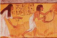 Harvest in ancient Egypt