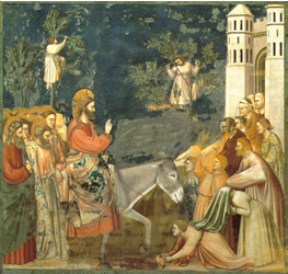 Christ entering Jerusalem, Giotto